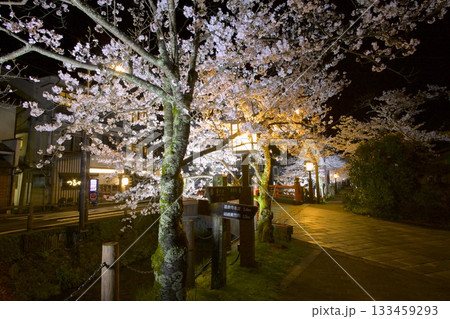 城崎温泉・薬師橋と夜桜 133459293
