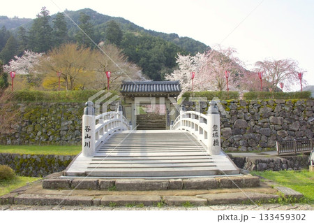 出石城跡の桜風景 133459302