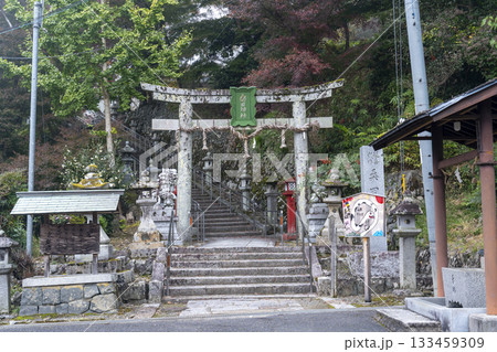 桑田神社 紅葉の季節 桑田神社 紅葉の季節 133459309