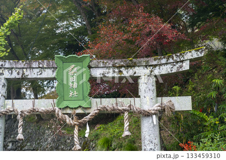 桑田神社 紅葉の季節 桑田神社 紅葉の季節 133459310