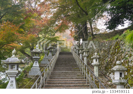 桑田神社 紅葉の季節 桑田神社 紅葉の季節 133459311