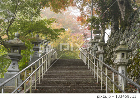 桑田神社　紅葉の季節 133459313