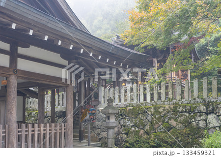 桑田神社　拝殿と本殿　紅葉の季節 133459321