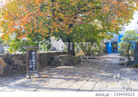 京都鶴屋　鶴寿庵（新選組発祥の地　八木家に由来する名物　屯所餅）京都市中京区壬生梛ノ宮町 133459323