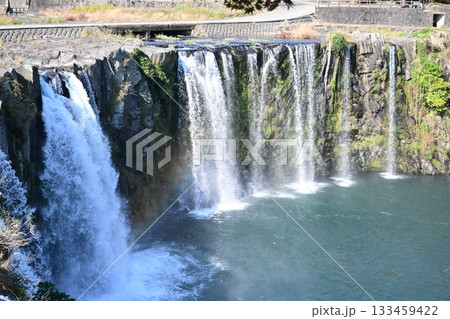 晩秋の原尻の滝 133459422