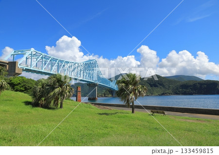 平戸生月大橋の南国らしい風景 平戸生月大橋の南国らしい風景 133459815
