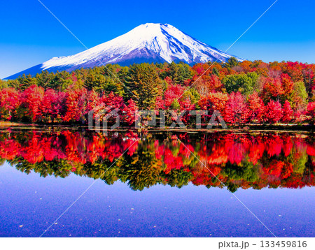 カナダ・ローレンシアン高原の美しい紅葉 133459816