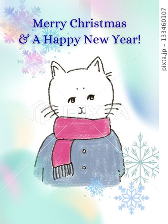 クリスマスの日にお祝いをしているかわいい手描き風の猫イラスト 133460107