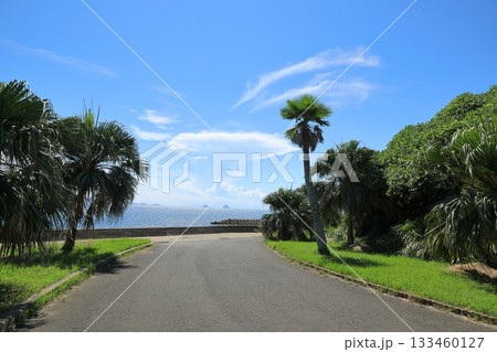 道の駅生月大橋の南国の風情に溢れた風景 道の駅生月大橋の南国の風情に溢れた風景 133460127