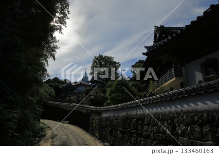 平戸の象徴的な景色の寺院と教会が見える風景 133460163