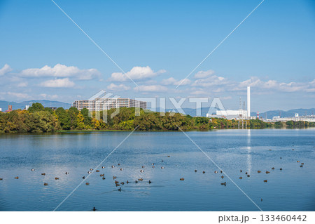 淀川風景　大阪市 133460442