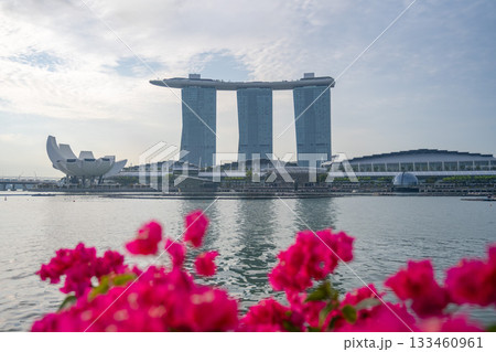 朝のマリーナベイとマリーナベイサンズ, シンガポール 133460961