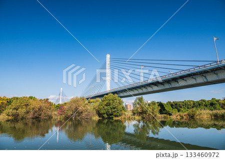 菅原城北大橋と城北ワンド群　大阪市 133460972