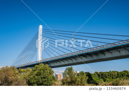 菅原城北大橋 大阪市 菅原城北大橋 大阪市 133460974