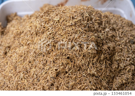Rice husks in plastic tray. Rice husks are beneficial for planting as they improve soil drainage and aeration, retain moisture, and slowly release nutrients like silica and potassium. Rice husks in plastic tray. Rice husks are beneficial for planting as they improve soil drainage and aeration, retain moisture, and slowly release nutrients like silica and potassium. 133461054