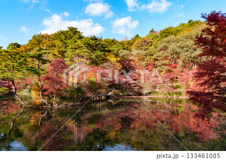 神戸市森林植物園、長谷池の紅葉 神戸市森林植物園、長谷池の紅葉 133461085