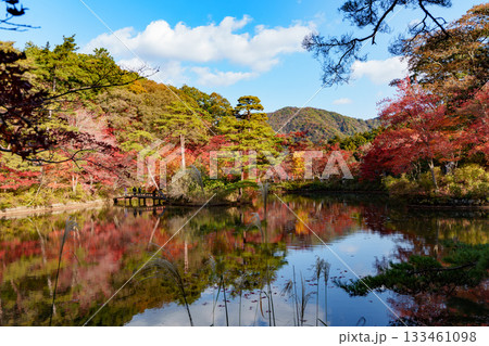 神戸市立森林植物園、長谷池の紅葉 133461098
