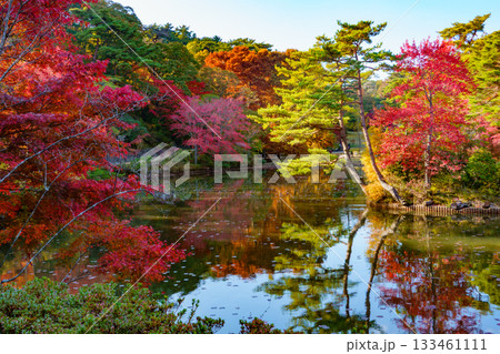 神戸市森林植物園、長谷池の紅葉 神戸市森林植物園、長谷池の紅葉 133461111