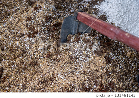Gardener using a hoe for mix and blend coconut coir, rice husks, cow dung and Perlite for making potting soil. This soil is a soilless, man-made substrate specifically designed for growing plants. 133461143