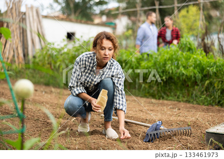 Woman is planting seeds in open ground Woman is planting seeds in open ground 133461973
