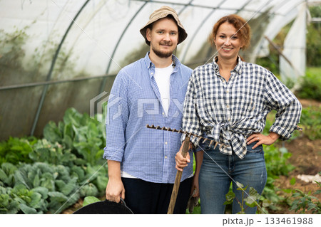 Farmer peasant woman and man works with garden plants in greenhouse 133461988