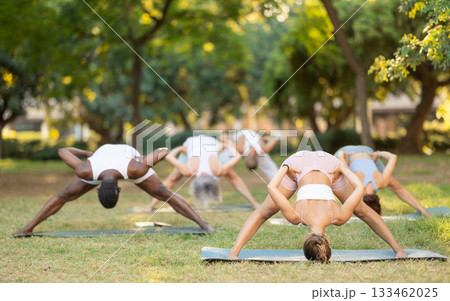 Multinational yoga enthusiasts with female coach perform Prasarita Padottanasana in park 133462025