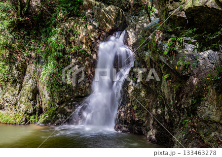 仙厳の滝 133463278