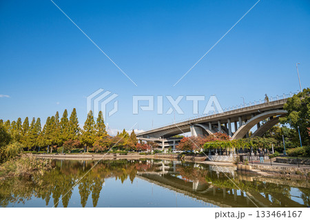 秋の城北公園　大阪市 133464167