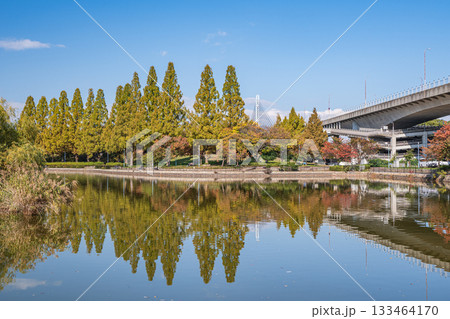 秋の城北公園 大阪市 秋の城北公園 大阪市 133464170