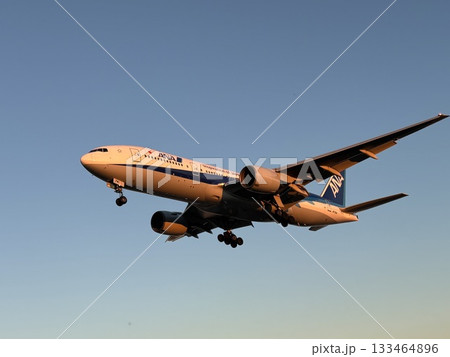 着陸する旅客機 133464896