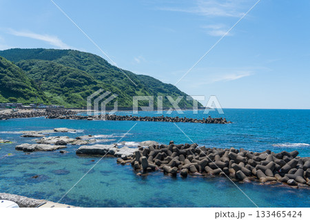 鶴岡市立加茂水族館 鶴岡市立加茂水族館 133465424