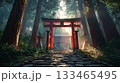 神々しく権威ある神社と鳥居4 133465495