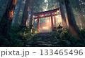 神々しく権威ある神社と鳥居5 133465496