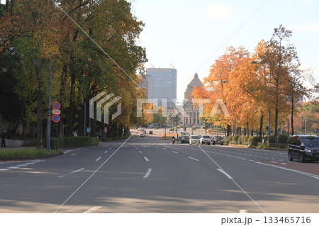 桜田門交差点と国会議事堂 133465716