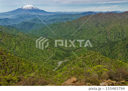 丹沢・塔ノ岳から見る富士山と新緑の山並み 丹沢・塔ノ岳から見る富士山と新緑の山並み 133465794