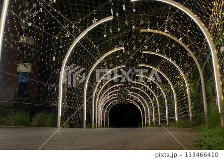 Strings of tiny star lights hang across curved frames in a bright display, and the glowing ornaments form a striking pattern over the walkway. Strings of tiny star lights hang across curved frames in a bright display, and the glowing ornaments form a striking pattern over the walkway. 133466410