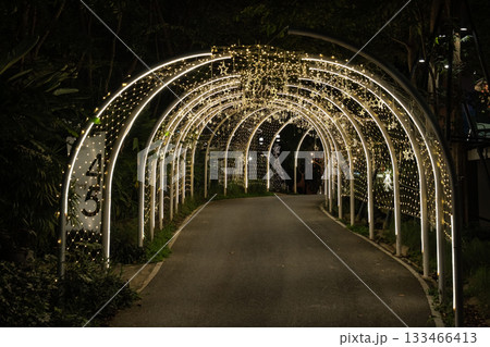 Strings of tiny star lights hang across curved frames in a bright display, and the glowing ornaments form a striking pattern over the walkway. Strings of tiny star lights hang across curved frames in a bright display, and the glowing ornaments form a striking pattern over the walkway. 133466413