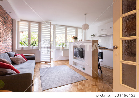 Cozy, modern living room with an open kitchen and abundant natural light and space Cozy, modern living room with an open kitchen and abundant natural light and space 133466453