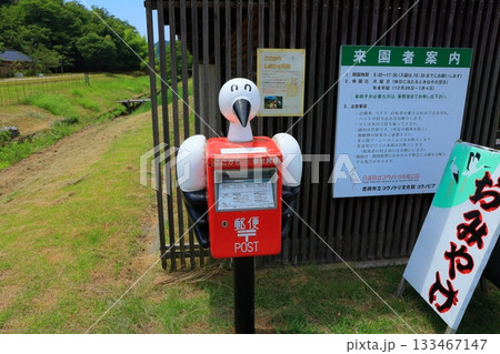 兵庫県 豊岡市 コウノトリの郷公園 コウノトリの形をした郵便ポスト 兵庫県 豊岡市 コウノトリの郷公園 コウノトリの形をした郵便ポスト 133467147
