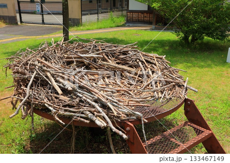 兵庫県 豊岡市 コウノトリの郷公園 コウノトリの巣 レプリカ 133467149