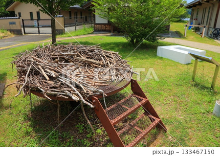 兵庫県 豊岡市 コウノトリの郷公園 コウノトリの巣 レプリカ 133467150