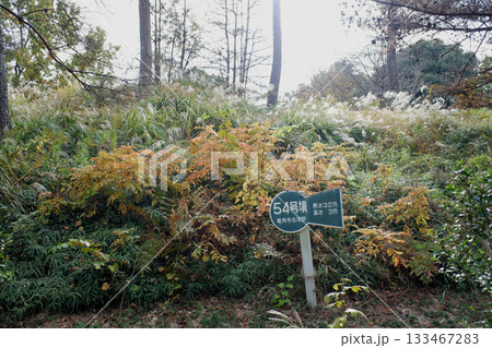千葉県 龍角寺古墳群・54号墳 千葉県 龍角寺古墳群・54号墳 133467283