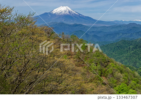 丹沢・塔ノ岳山頂直下から見る新緑の鍋割山稜と富士山 丹沢・塔ノ岳山頂直下から見る新緑の鍋割山稜と富士山 133467307