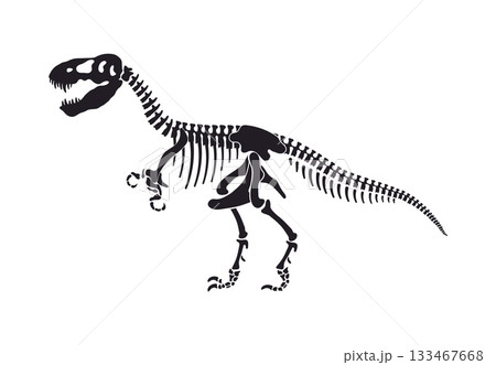 Tyrannosaur dinosaur skeleton bones. Jurassic era reptile paleontology museum fossil isolated vector, paleontology lizard skeleton silhouette . Prehistoric animal bones or 133467668