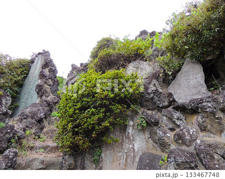 宝珠花神社 富士塚 宝珠花神社 富士塚 133467748