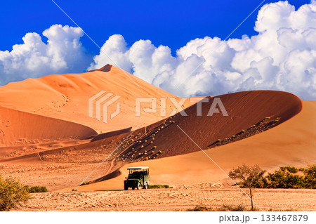 酷暑のナミブ砂漠の絶景 酷暑のナミブ砂漠の絶景 133467879