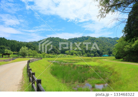兵庫県 豊岡市 コウノトリの郷公園 133468322
