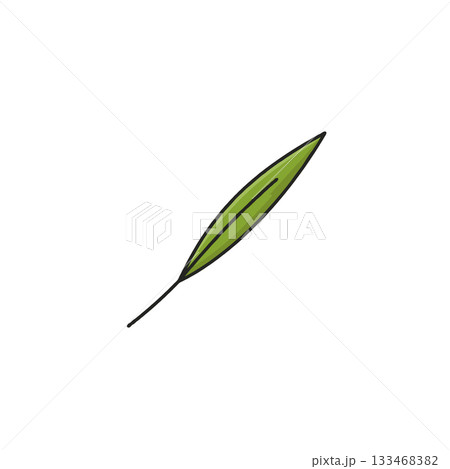 Simple botanical illustration featuring a single green leaf with delicate veins on a plain white Simple botanical illustration featuring a single green leaf with delicate veins on a plain white 133468382