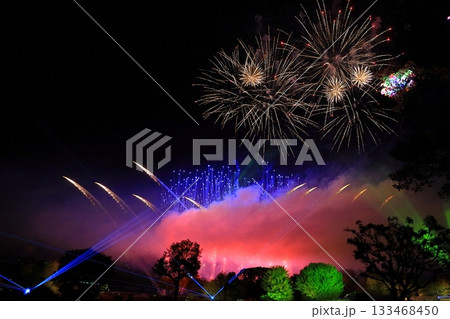 夜空を彩るアート花火 夜空を彩るアート花火 133468450