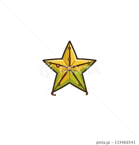 Stylized carambola fruit illustration showcasing star shape details and a cartoonish visual design 133468541